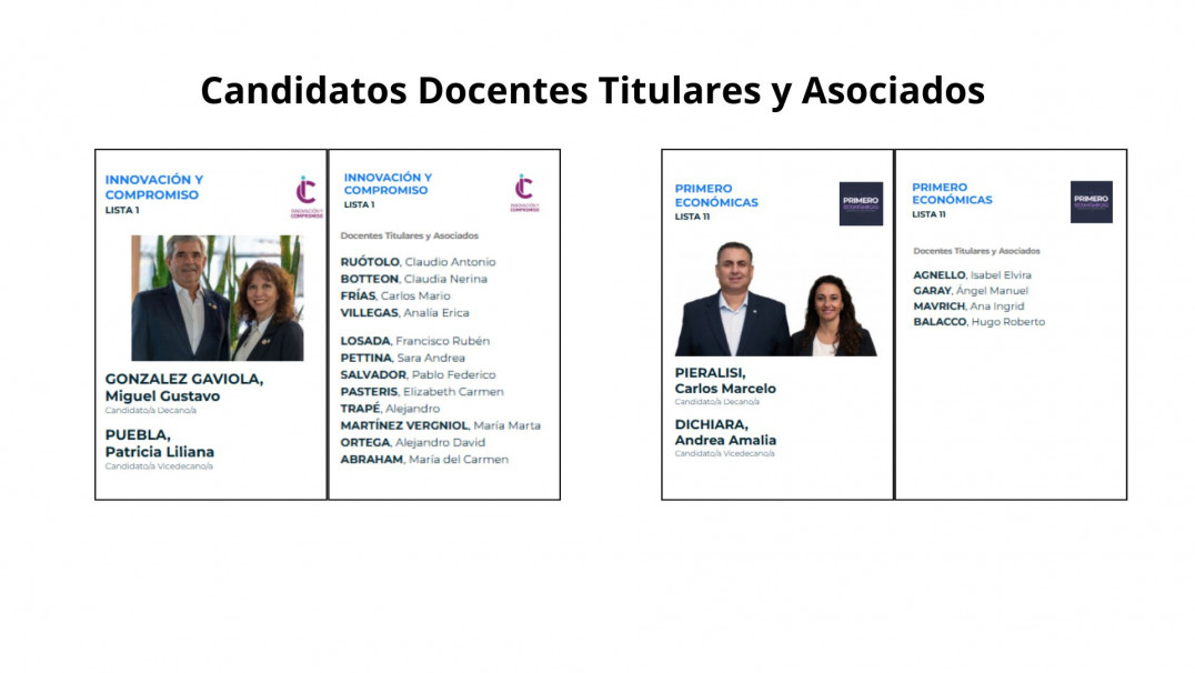 imagen Docentes Titulares y Asociados 