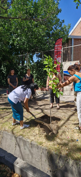 imagen La Delegación San Rafael y la Escuela Geary plantaron los árboles 27 y 28