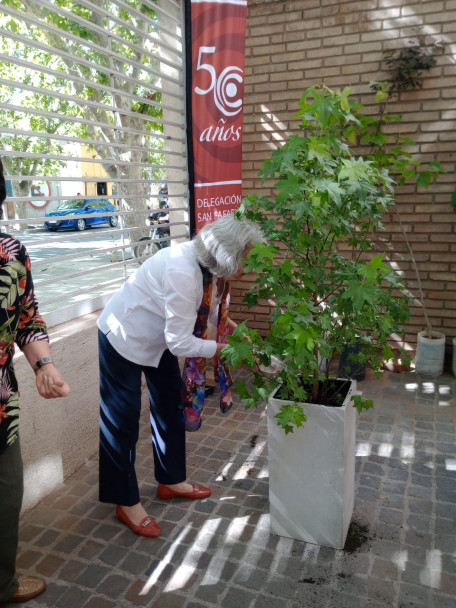 imagen La Delegación San Rafael continúa con la plantación de árboles