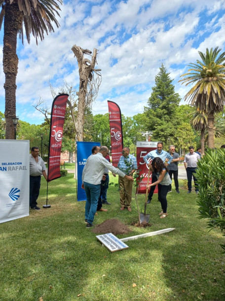 imagen Se plantaron los árboles n.° 29 y 30 en la plaza San Martín de San Rafael