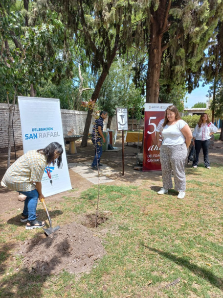 imagen Se realizó la plantación de tres nuevos árboles en San Rafael