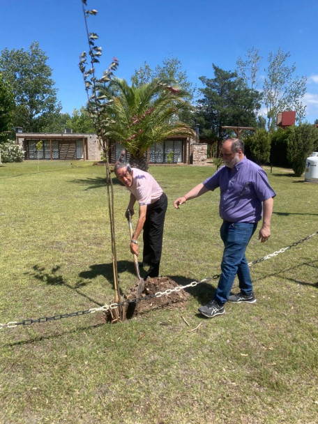 imagen La Sede San Rafael realizó una nueva plantación de árboles por el 50° aniversario