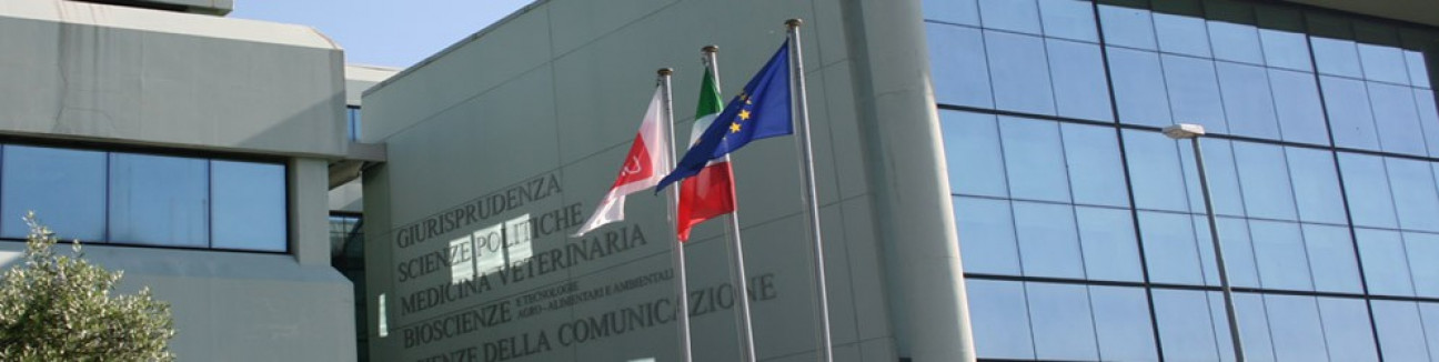 imagen Movilidad Internacional para docentes UNCUYO en Universidad de Téramo (Italia)