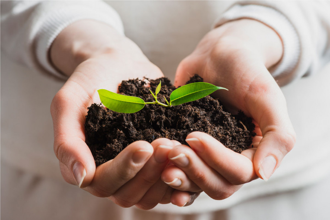 imagen Participá del Programa Intensivo "Sustentabilidad en las Organizaciones"