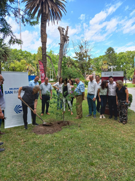 imagen Se plantaron los árboles n.° 29 y 30 en la plaza San Martín de San Rafael