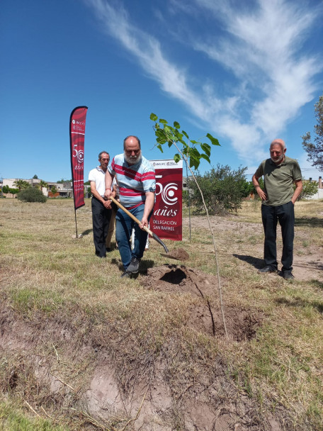 imagen La Delegación San Rafael plantó dos nuevos árboles