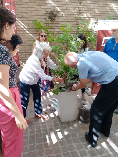 imagen La Delegación San Rafael continúa con la plantación de árboles