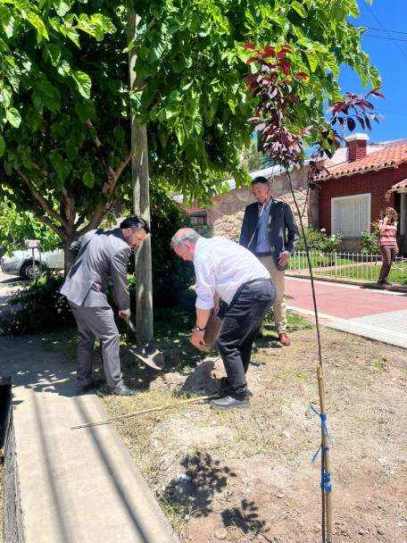 imagen La Sede San Rafael realizó una nueva plantación de árboles por el 50° aniversario