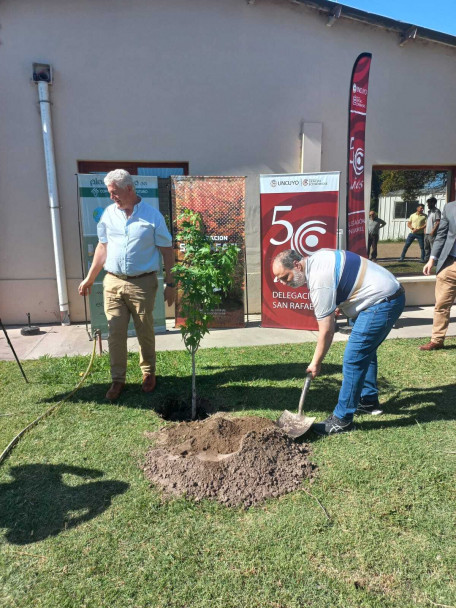 imagen La Delegación San Rafael realizó una nueva plantación de árboles