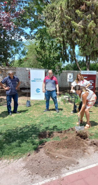 imagen Se realizó la plantación de tres nuevos árboles en San Rafael