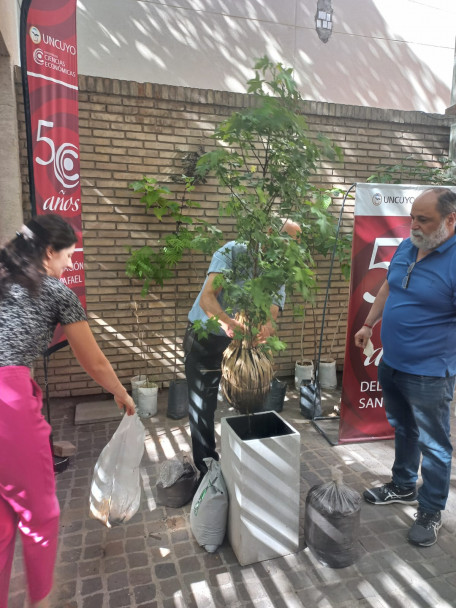 imagen La Delegación San Rafael continúa con la plantación de árboles