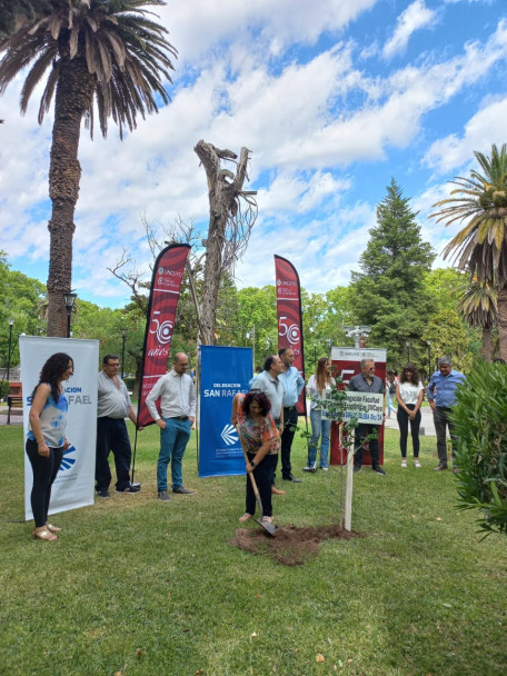 imagen Se plantaron los árboles n.° 29 y 30 en la plaza San Martín de San Rafael