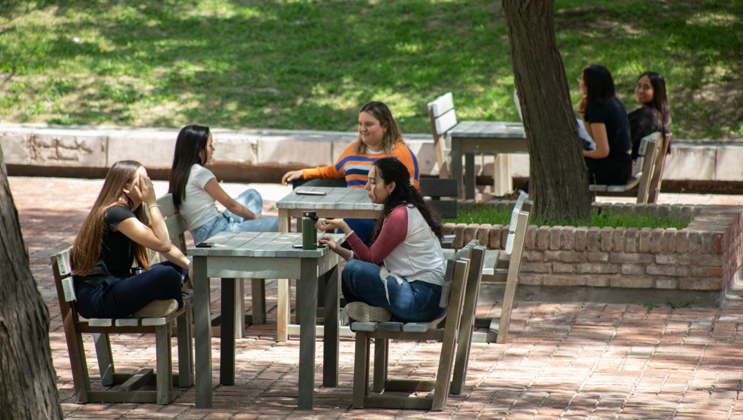 imagen Portal de Info Académica