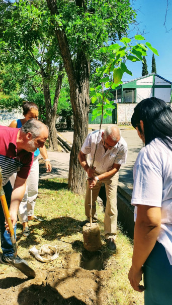 imagen La Delegación San Rafael y la Escuela Geary plantaron los árboles 27 y 28