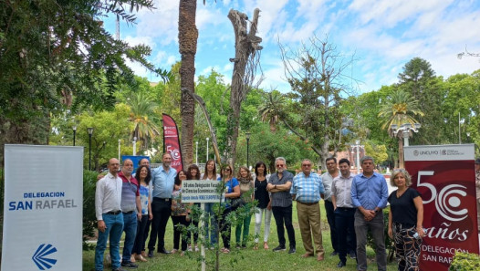 imagen Se plantaron los árboles n.° 29 y 30 en la plaza San Martín de San Rafael