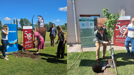 imagen La Delegación San Rafael realizó una nueva plantación de árboles