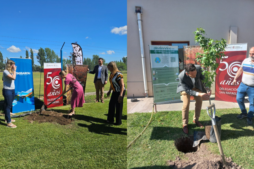 imagen La Delegación San Rafael realizó una nueva plantación de árboles