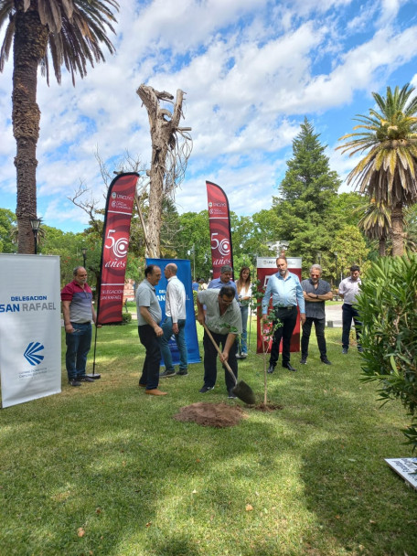 imagen Se plantaron los árboles n.° 29 y 30 en la plaza San Martín de San Rafael