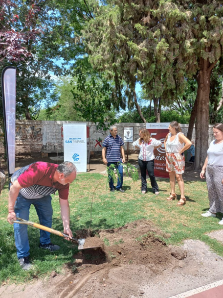 imagen Se realizó la plantación de tres nuevos árboles en San Rafael