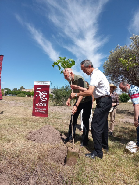 imagen La Delegación San Rafael plantó dos nuevos árboles