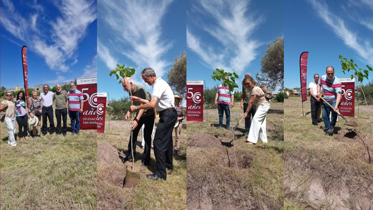 imagen La Delegación San Rafael plantó dos nuevos árboles