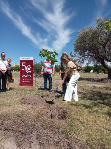 imagen La Delegación San Rafael plantó dos nuevos árboles