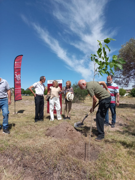 imagen La Delegación San Rafael plantó dos nuevos árboles