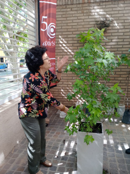 imagen La Delegación San Rafael continúa con la plantación de árboles