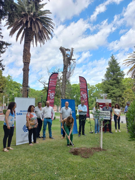 imagen Se plantaron los árboles n.° 29 y 30 en la plaza San Martín de San Rafael