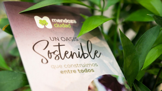 imagen El Laboratorio de Sostenibilidad invita a participar de un taller para fortalecer proyectos del Fondo de Juventud y Acción Climática
