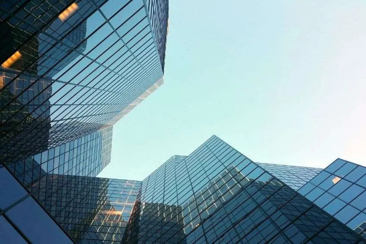 imagen Diplomado en Gestión de Información para la Sostenibilidad Organizacional - 1° Edición