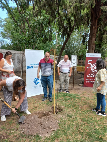 imagen Se realizó la plantación de tres nuevos árboles en San Rafael