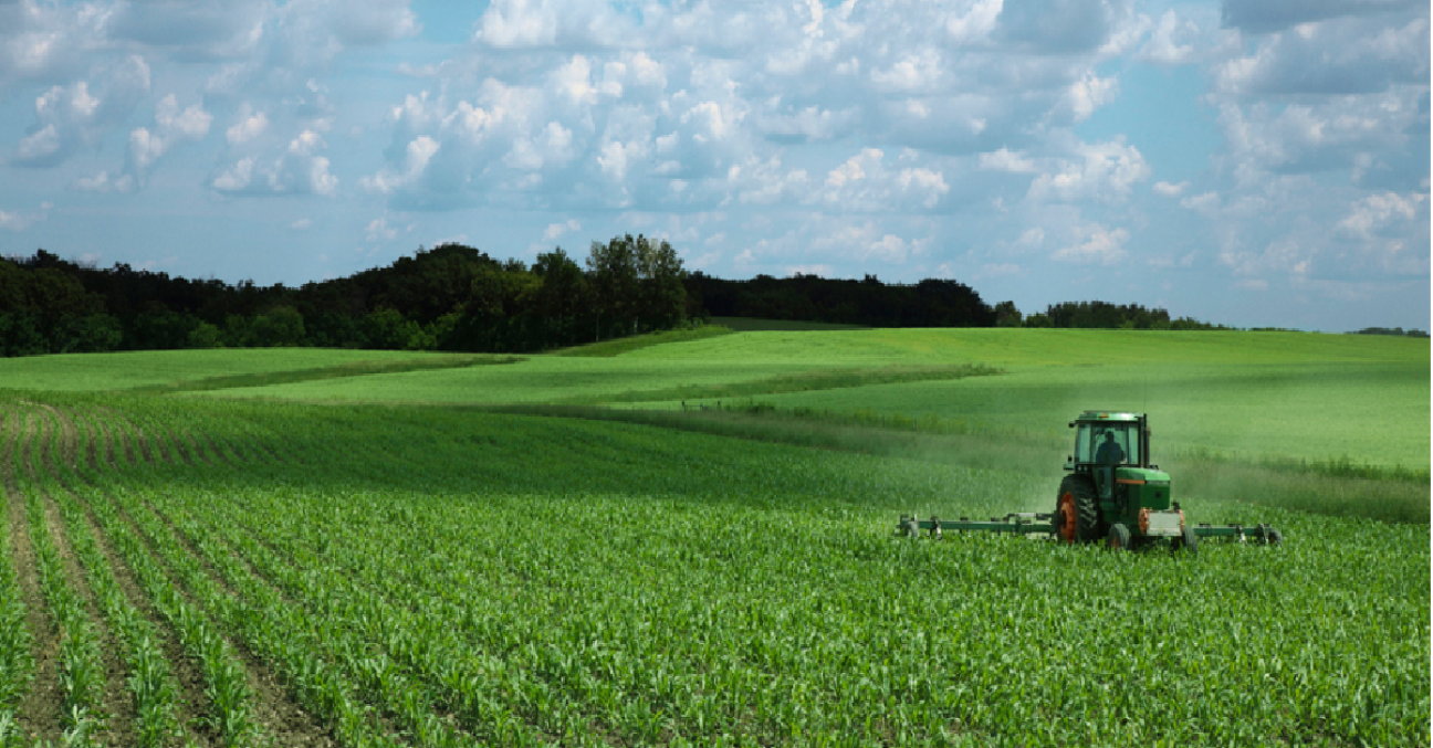 imagen Fulbright Specialist Dr. Huffman disertará sobre Innovación y Economía Agraria