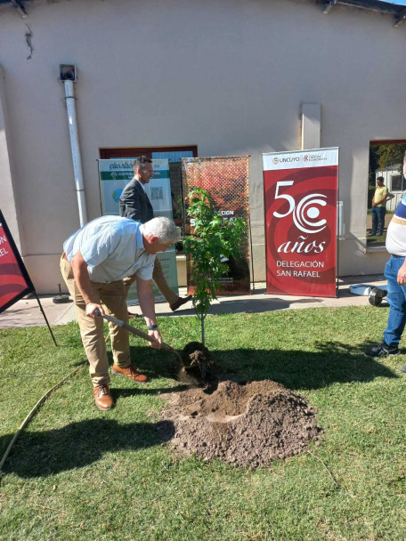 imagen La Delegación San Rafael realizó una nueva plantación de árboles