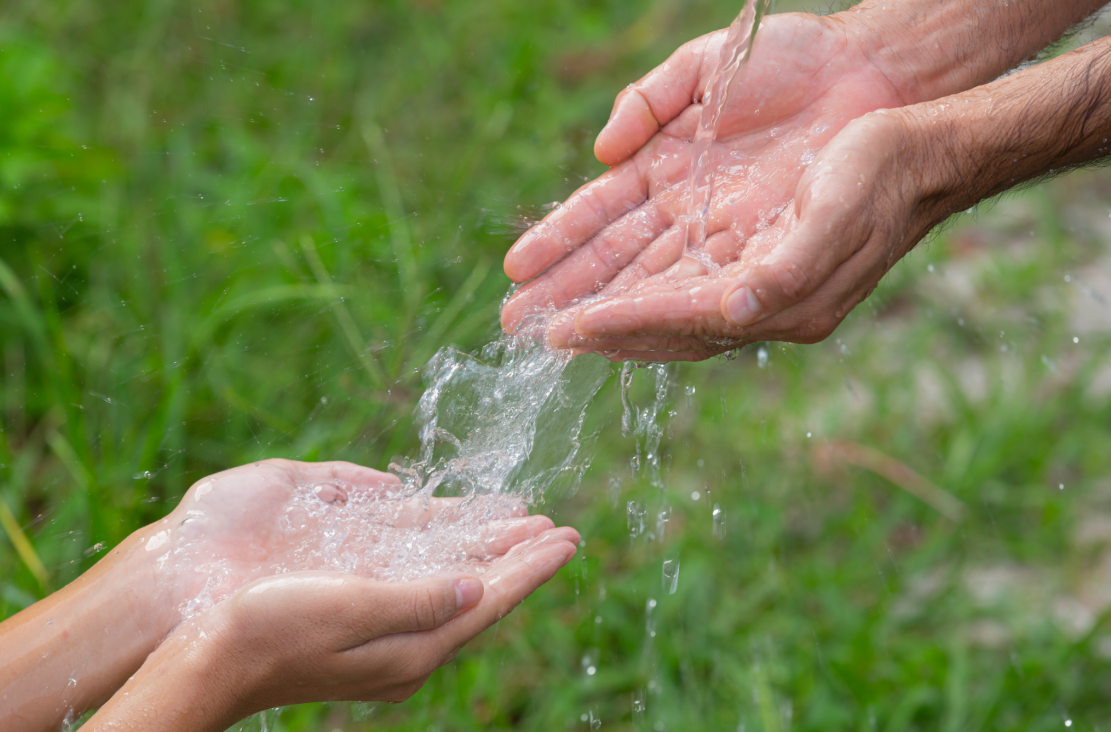 imagen 31 de marzo: Día Nacional del Agua