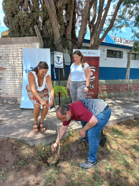 imagen Se realizó la plantación de tres nuevos árboles en San Rafael