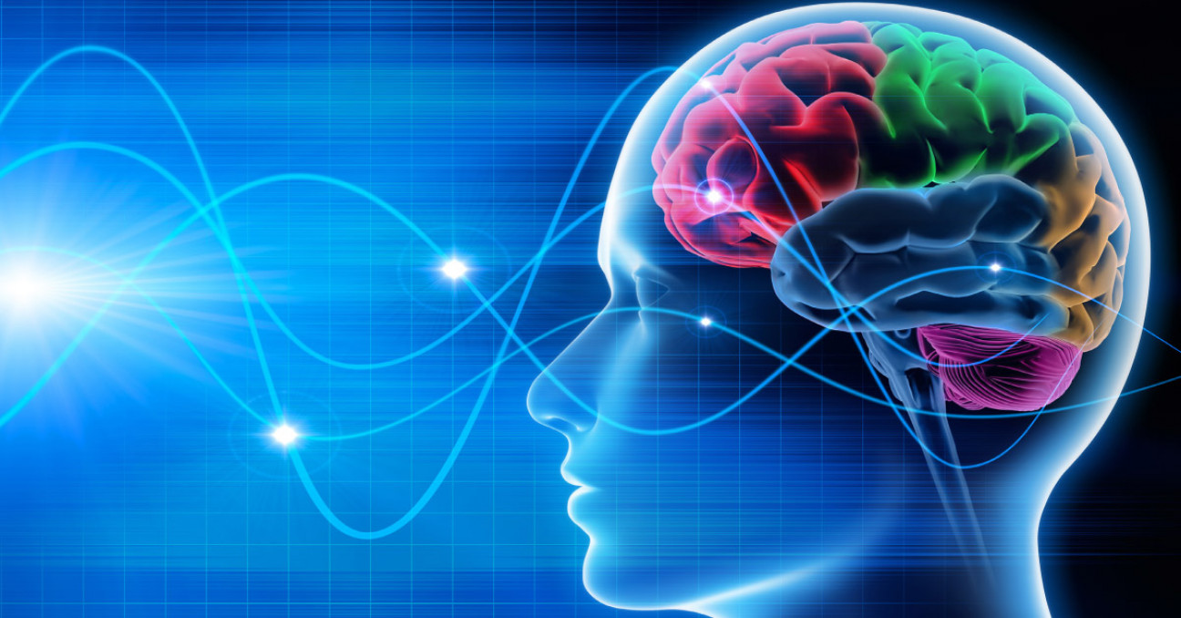 imagen Diplomado en Neurociencias Aplicadas a la Gestión y la Economía  2019