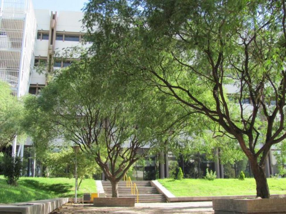 imagen Realizarán un nuevo simulacro de sismo en la Facultad