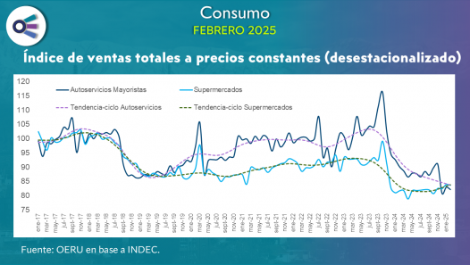 imagen Consumo (febrero 2025)